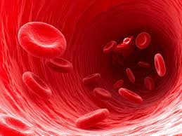 Dr. Oz / Blood Clots…….