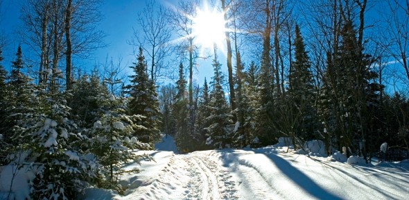Winter Vein Health